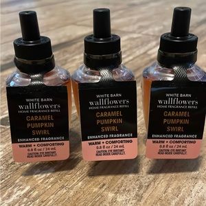 Bath and Body Works Wallflower Plug-in.